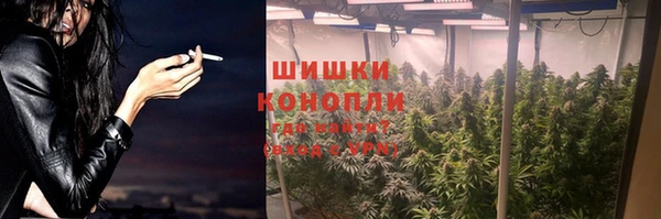 сатива Абинск