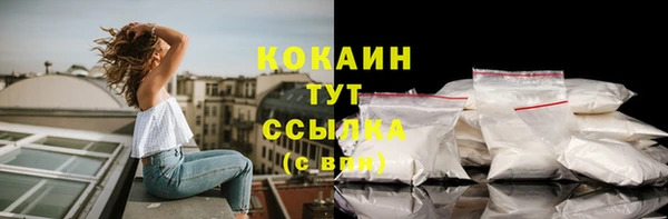 соль ск Абаза