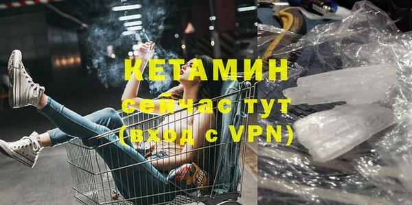 сатива Абинск