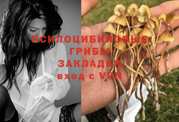 мескалин Абдулино