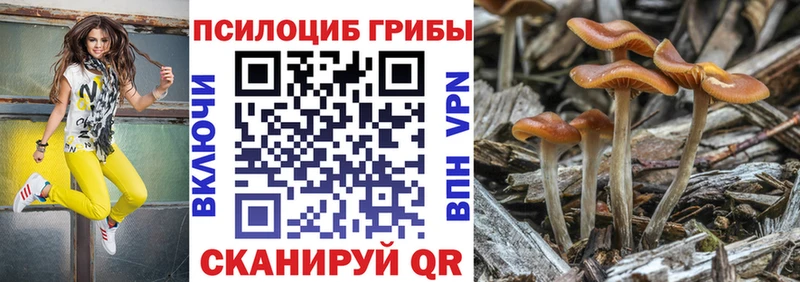 купить  цена  Нижнекамск  blacksprut зеркало  Псилоцибиновые грибы ЛСД 