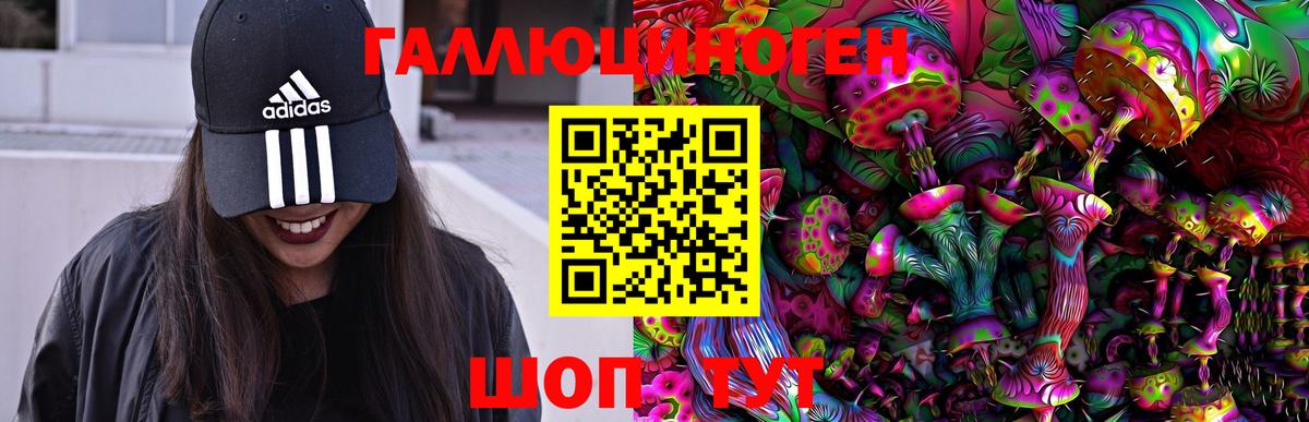 Нижнекамск  Галлюциногенные грибы GOLDEN TEACHER  Вход с VPN 